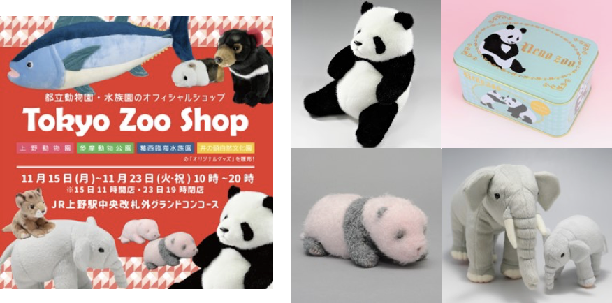 上野動物園公式 Tokyo Zoo Shop 出店 シャンシャン 写真展開催 東京 上野 動物のリアルを伝えるwebメディア Reanimal