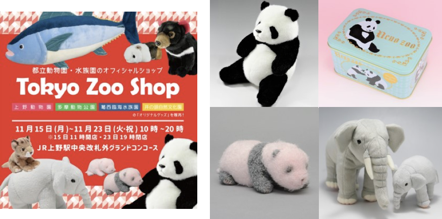 上野動物園公式「Tokyo Zoo Shop」出店& 「シャンシャン」写真 上野動物園公式「Tokyo Zoo Shop」出店& 「シャンシャン」写真