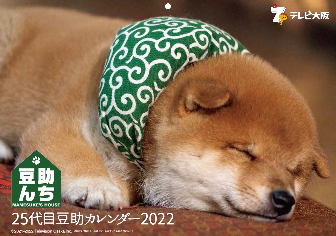 25代目豆助カレンダー2022」発売、壁掛けと卓上の2タイプ | 動物の