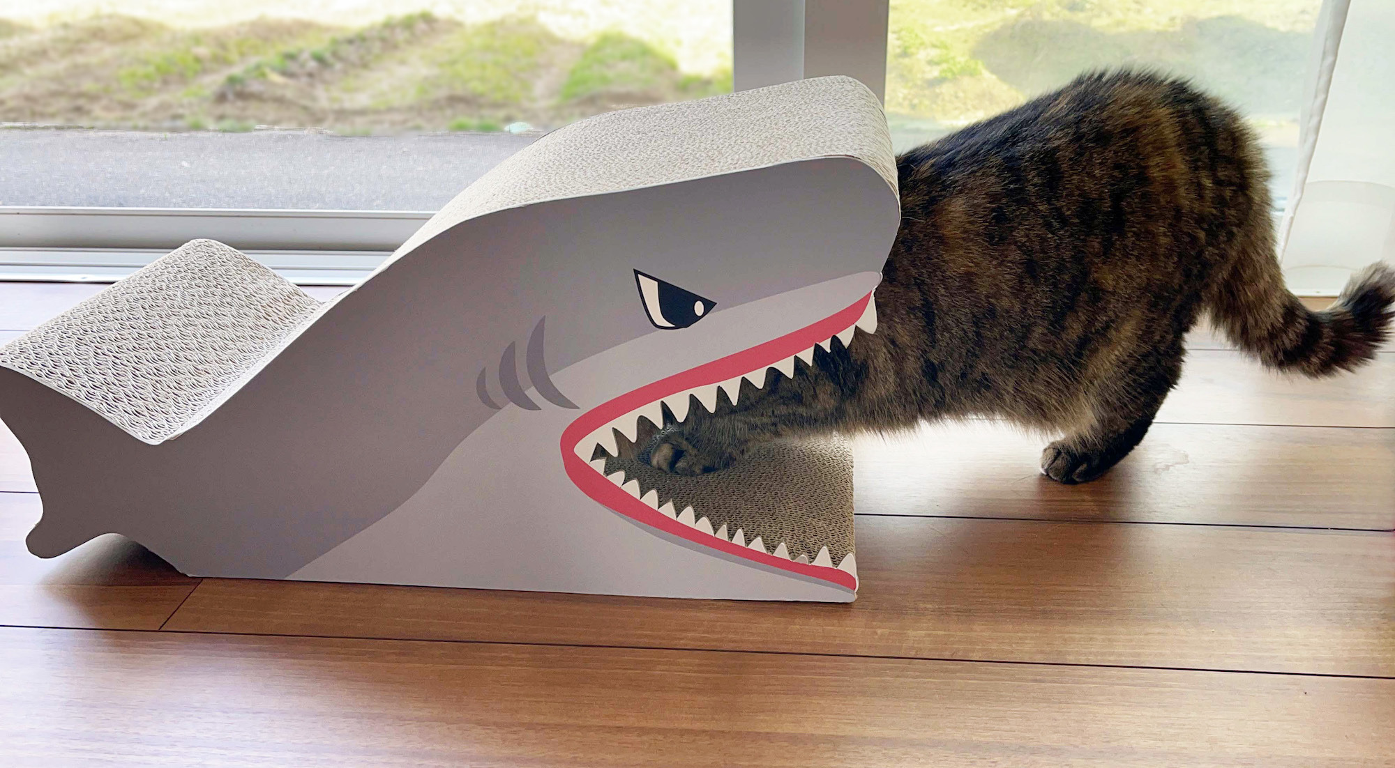 サメ型爪とぎやマタタビが入った動く魚のぬいぐるみ コメリオリジナルの新猫用アイテム発売 動物のリアルを伝えるwebメディア Reanimal サメ型爪とぎやマタタビが入った動く魚のぬいぐるみ コメリオリジナルの新猫用アイテム発売 動物のリアルを伝えるwebメディア Reanimal