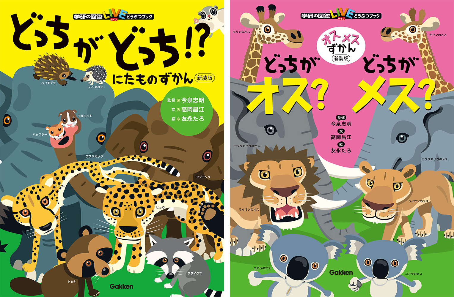 ヒョウとチーターはどう違う 動物の見分け方がわかる絵本図鑑の新装版2冊を刊行 学研 動物のリアルを伝えるwebメディア Reanimal