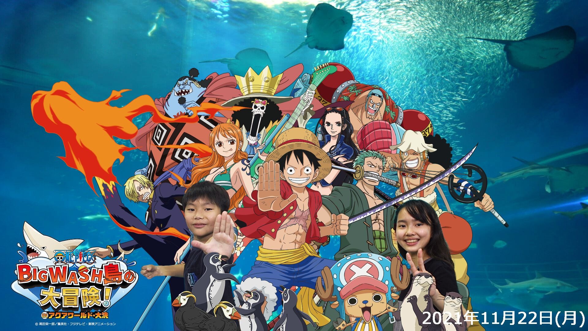 ワンピース』とのコラボイベント、詳細決定…アクアワールド茨城