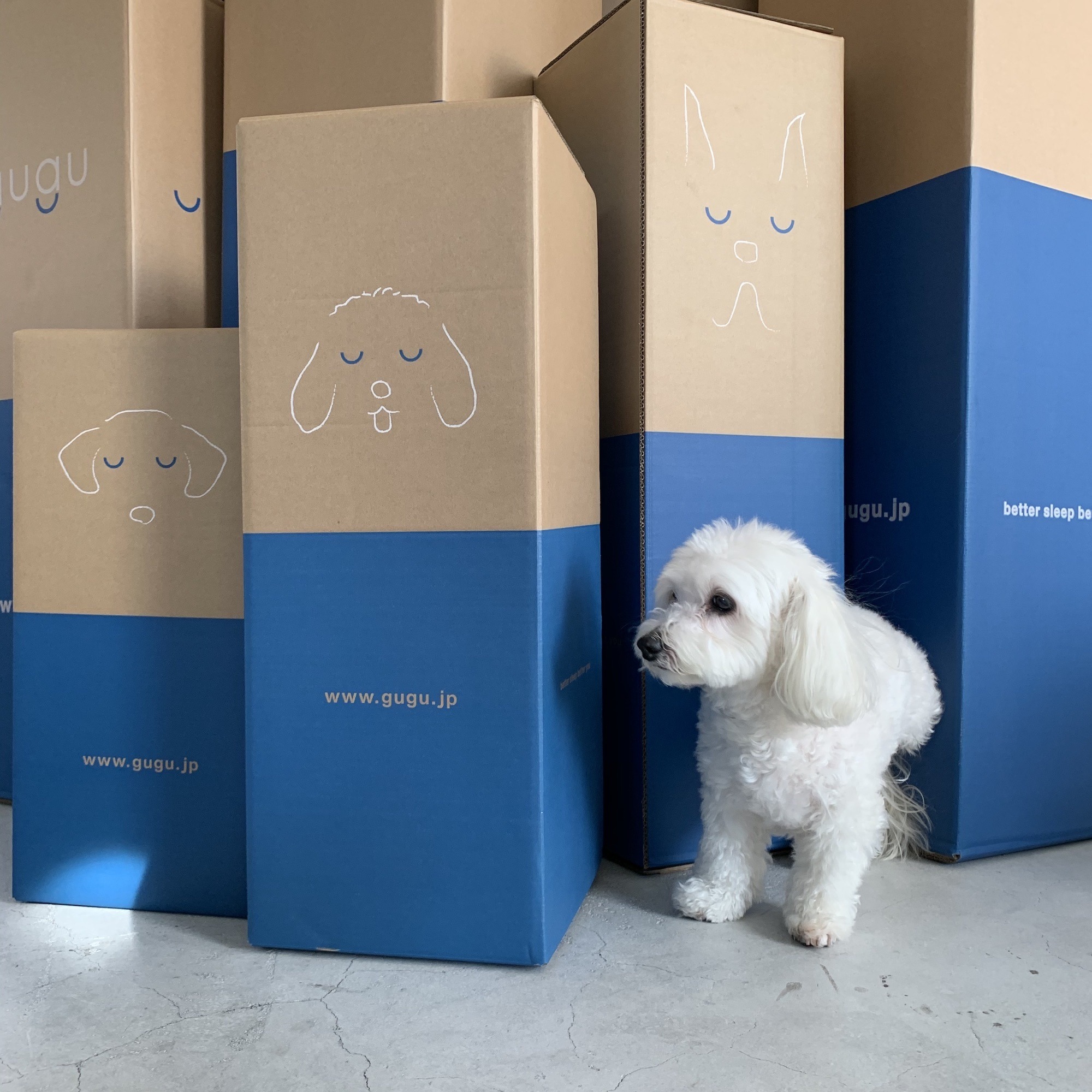 犬用ベッド「guguドギー」、大型ペットイベントの出展情報を発表