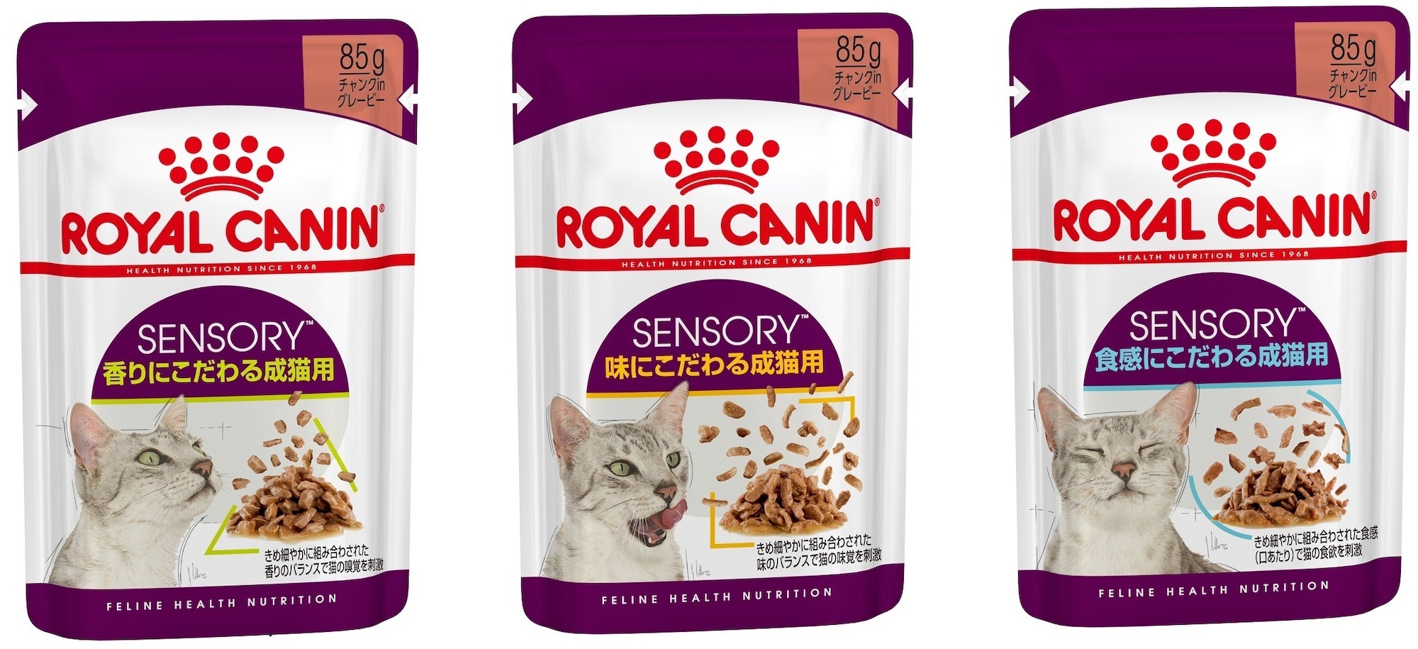 ロイヤルカナン味わい食感たで食をさ刺激10kg ロイヤルカナン セイバー エクシジェント 10kg / 味わい・食感で食欲を