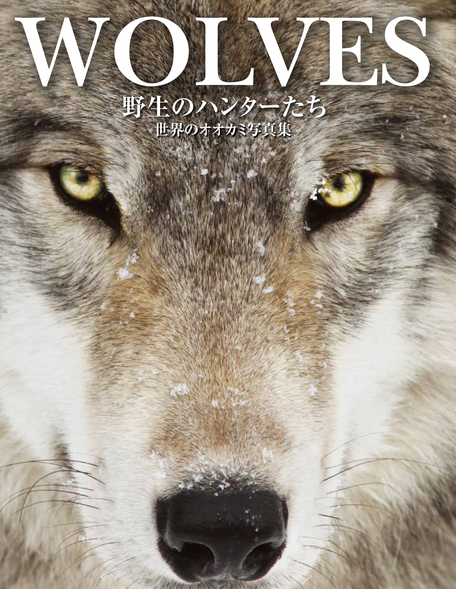 WOLVES野生のハンターたち 世界のオオカミ写真集』刊行…大自然の中で 