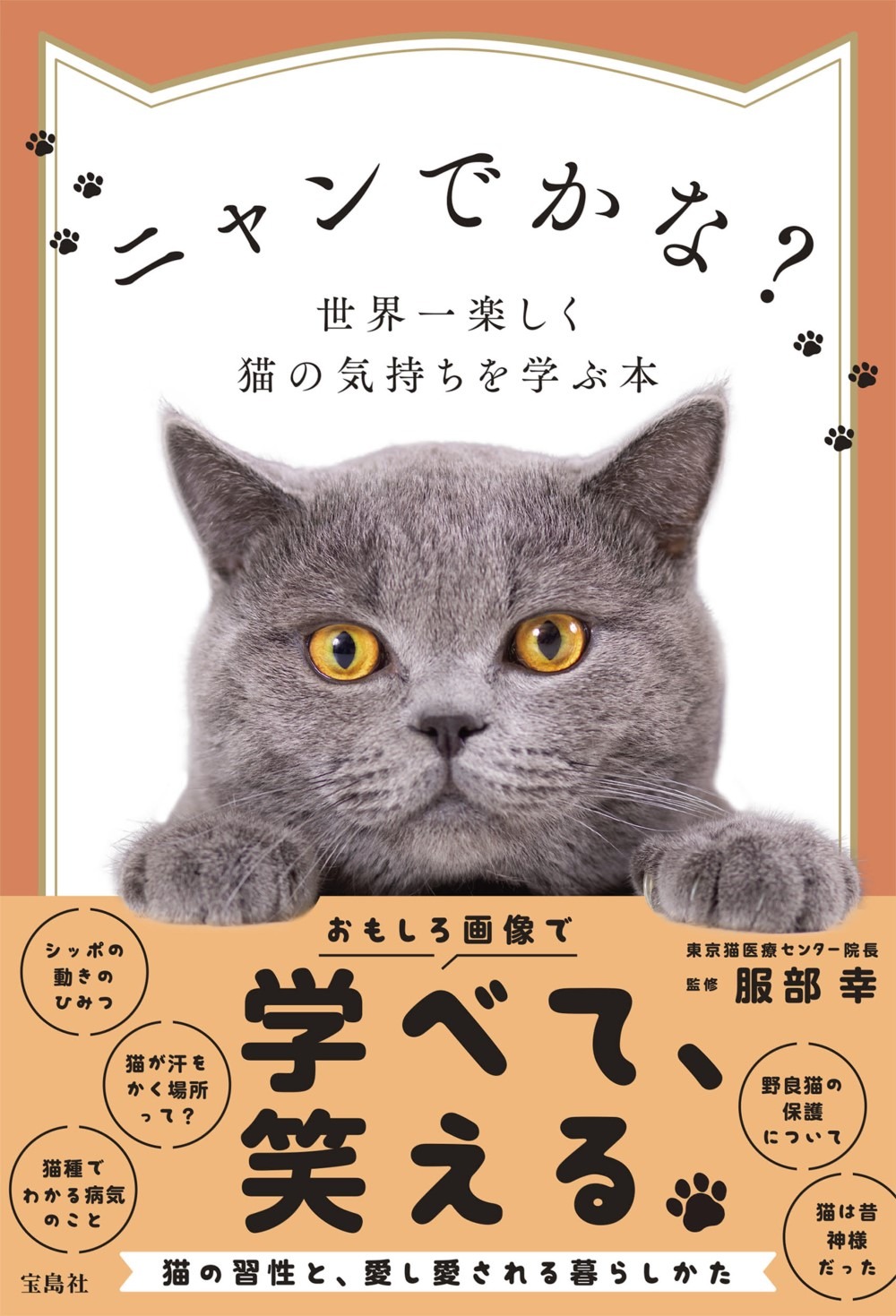 ニャンでかな 世界一楽しく猫の気持ちを学ぶ本 宝島社より刊行 動物のリアルを伝えるwebメディア Reanimal