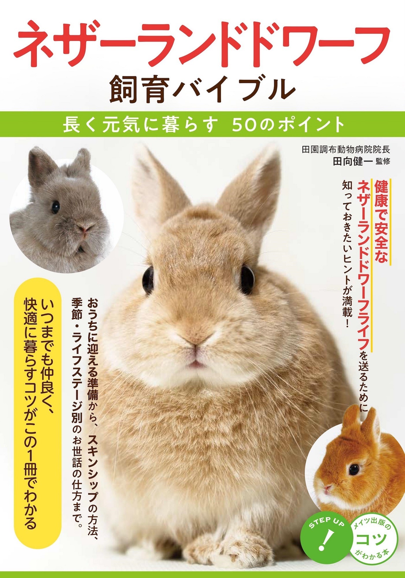 ネザーランドドワーフ 飼育バイブル 長く元気に暮らす50のポイント