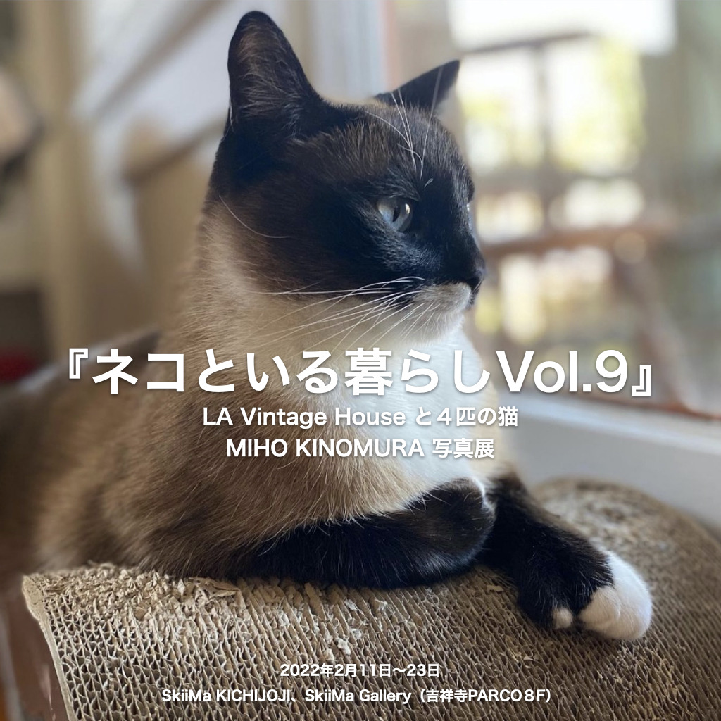 保護猫プロジェクト ネコといる暮らし展 Vol 9 吉祥寺パルコにて開催 2月11 23日 動物のリアルを伝えるwebメディア Reanimal