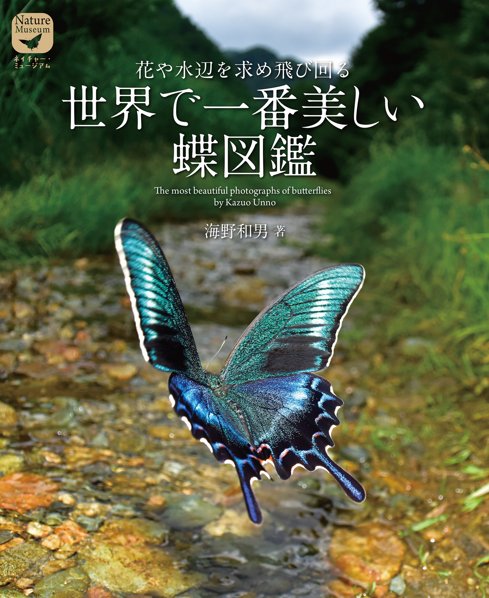 世界で一番美しい蝶図鑑』、誠文堂新光社より刊行…昆虫カメラマン・海野和男氏撮影 | 動物のリアルを伝えるWebメディア「REANIMAL」 世界で一番美しい蝶図鑑』、誠文堂新光社より刊行…昆虫カメラマン・海野和男氏撮影 | 動物のリアルを伝えるWebメディア「REANIMAL」