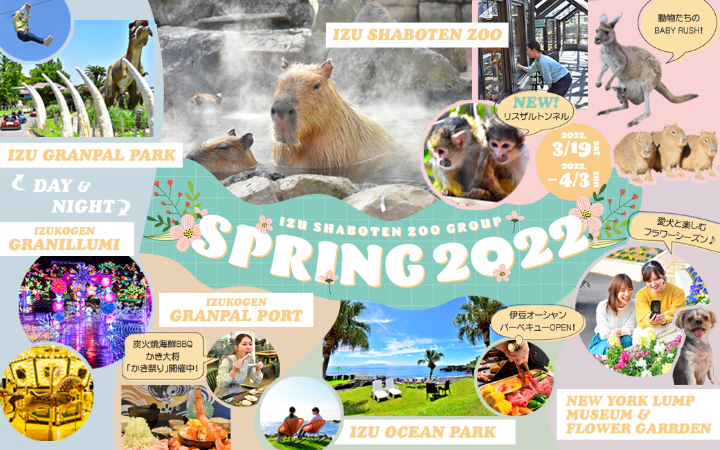 伊豆シャボテン動物公園や伊豆ぐらんぱる公園で春を満喫 期間限定イベントも 動物のリアルを伝えるwebメディア Reanimal 伊豆シャボテン動物公園や伊豆ぐらんぱる公園で春を満喫 期間限定イベントも 動物のリアルを伝えるwebメディア Reanimal