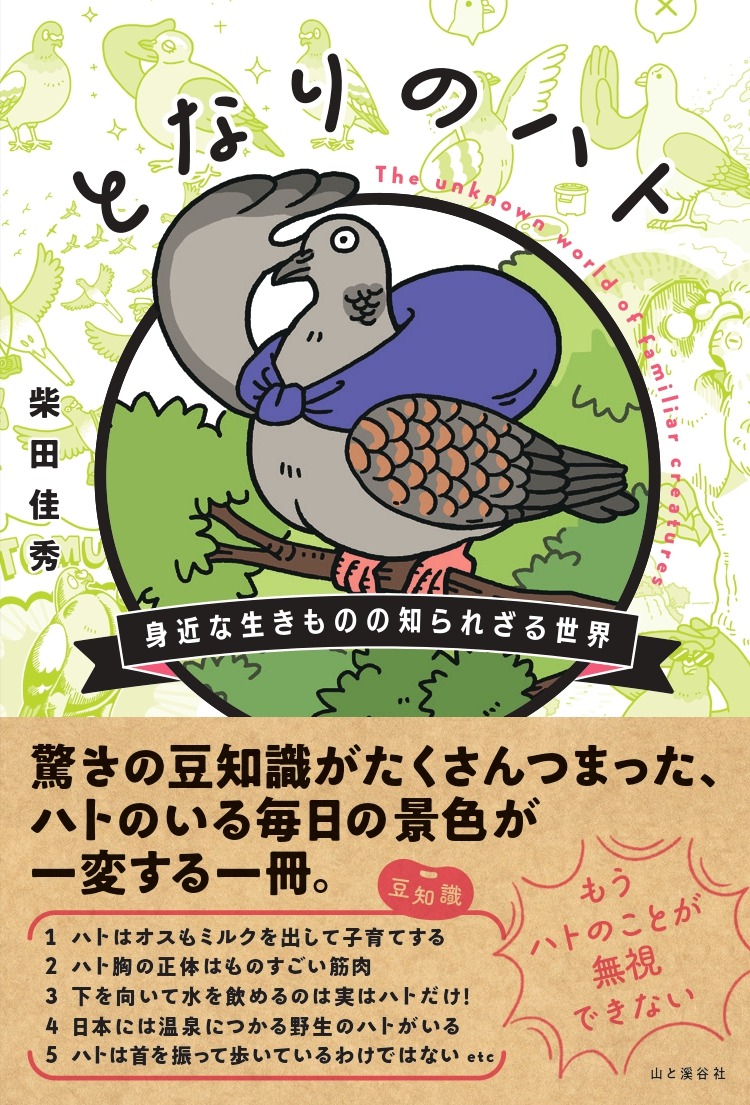 身近な鳥 鳩の豆知識が満載 となりのハト 身近な生きものの知られざる世界 刊行 動物のリアルを伝えるwebメディア Reanimal 身近な鳥 鳩の豆知識が満載 となりのハト 身近な生きものの知られざる世界 刊行 動物のリアルを伝えるwebメディア Reanimal
