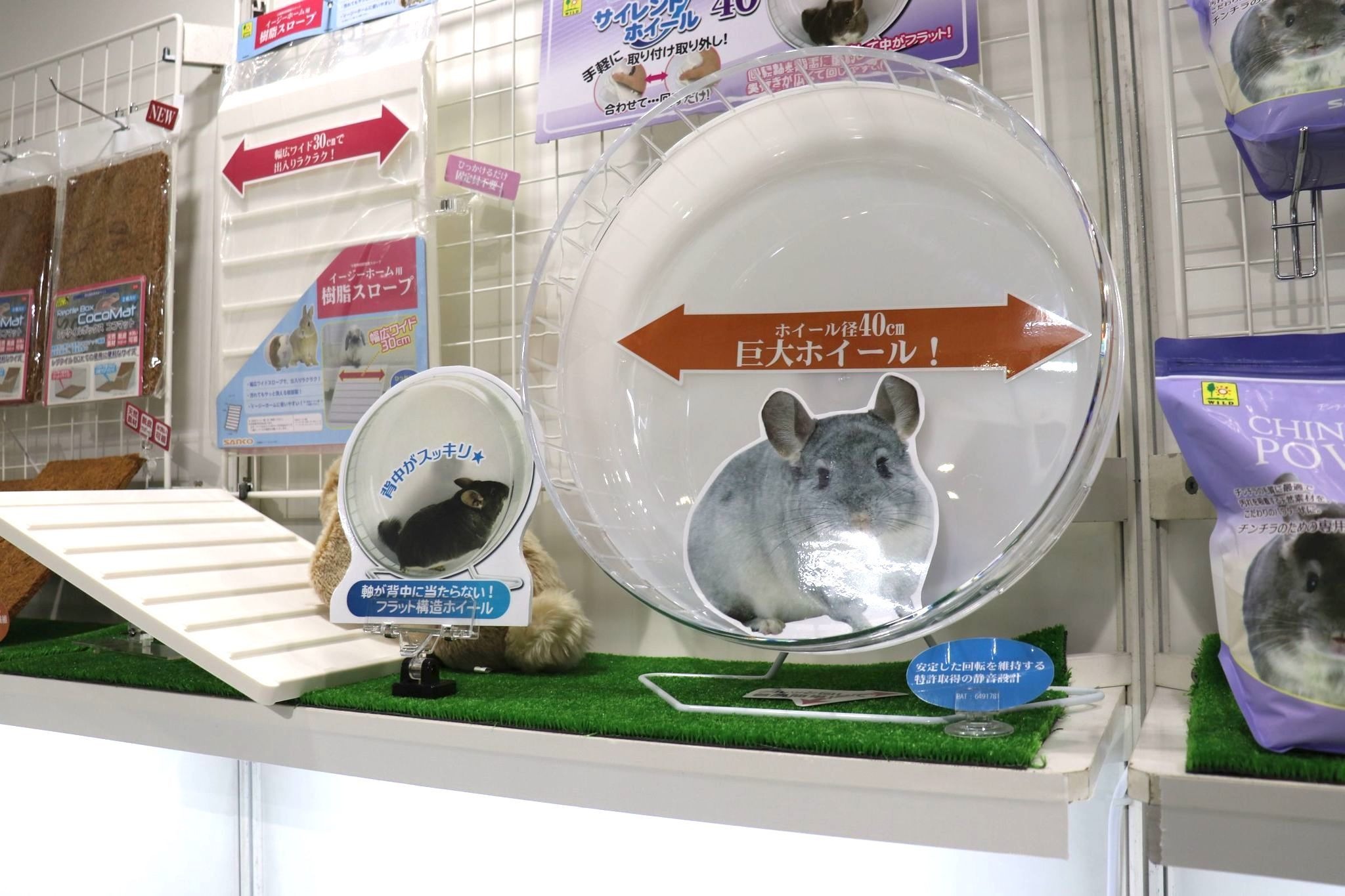 巨大回し車でチンチラも運動不足解消 三晃商会 インターペット22 動物のリアルを伝えるwebメディア Reanimal