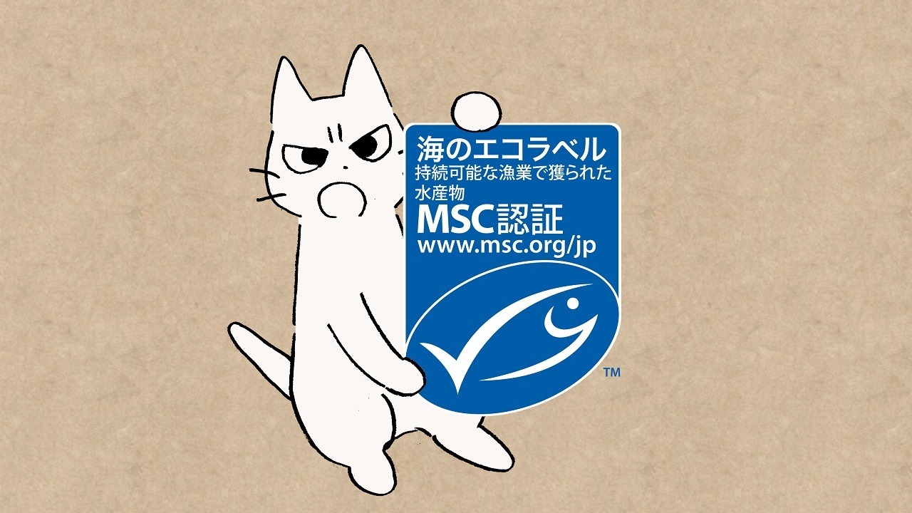 海洋管理協議会 しかるねこ を起用した動画キャンペーンを開催 海のエコラベル 認知向上 動物のリアルを伝えるwebメディア Reanimal