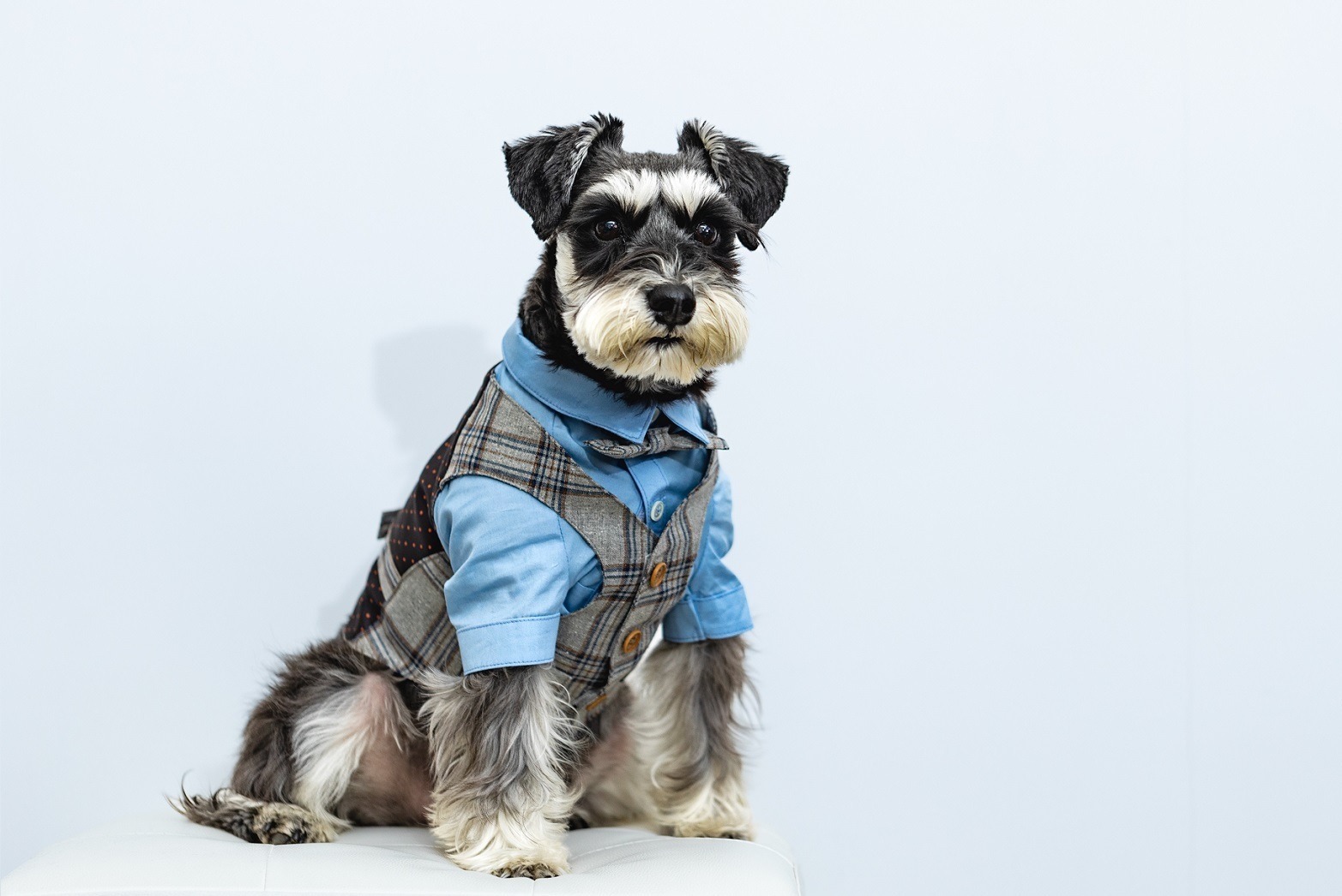 31261.jpg?zoom=spacing