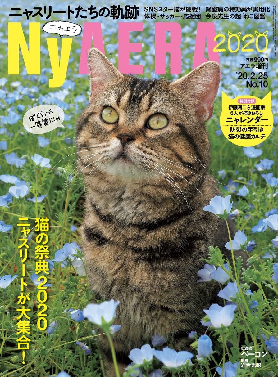 Aeraの猫特集増刊 Nyaera 発売 表紙は動物写真家 岩合光昭さん撮影 動物のリアルを伝えるwebメディア Reanimal