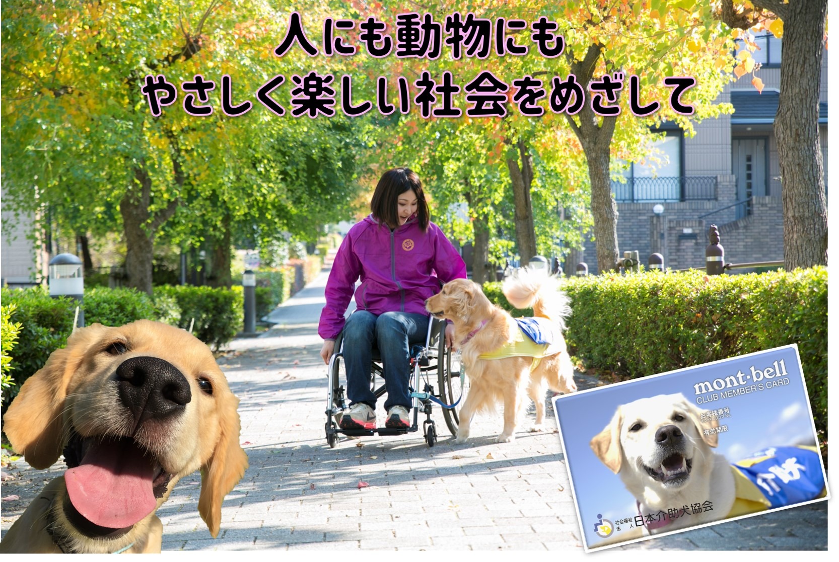 日本介助犬協会 Mont Bell主催のイベント モンベルクラブ フレンドフェア オンライン に出展 動物のリアルを伝えるwebメディア Reanimal