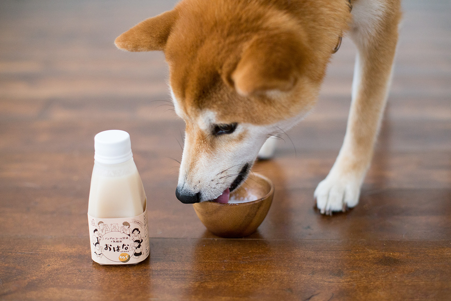 イリオスマイル 愛犬と一緒に飲めるノンアルコール甘酒 おはな Ohana の販売を開始 動物のリアルを伝えるwebメディア Reanimal