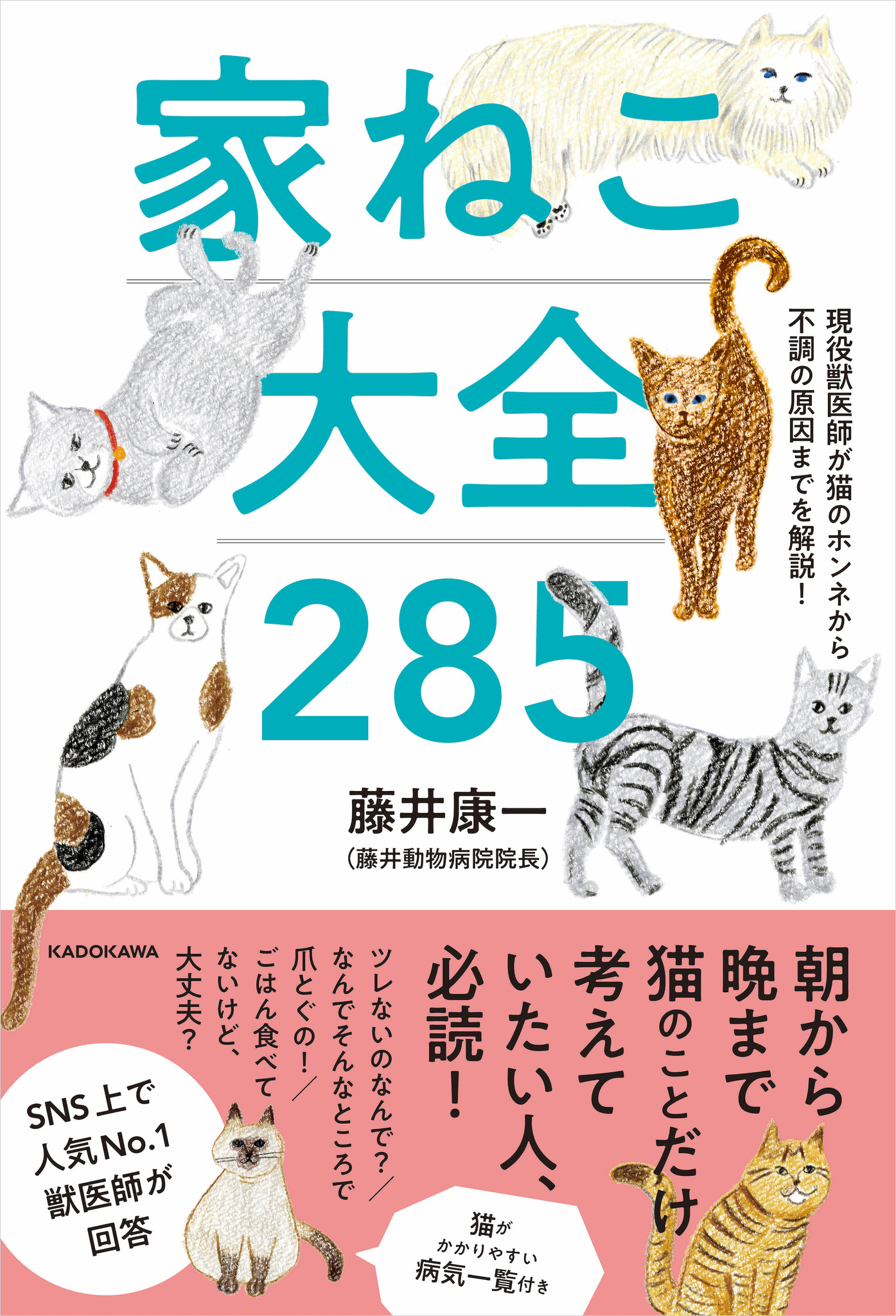 Kadokawa 現役獣医師が猫のホンネから不調の原因までを解説 家ねこ大全 285 を刊行 9月2日 動物 のリアルを伝えるwebメディア Reanimal