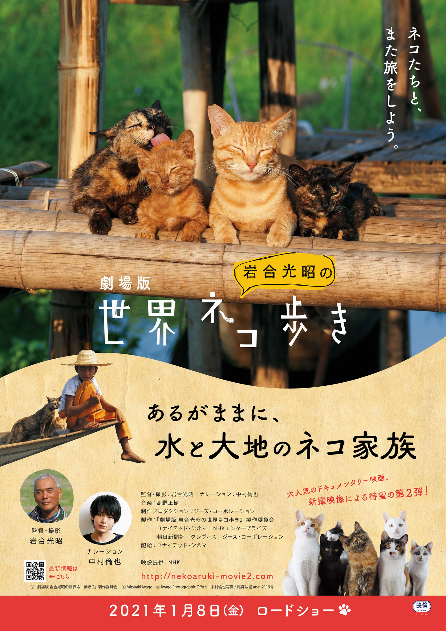 岩合光昭が贈る猫映画 劇場版 岩合光昭の世界ネコ歩き あるがままに 水と大地のネコ家 公開決定 21年1月8日 動物のリアルを伝えるwebメディア Reanimal