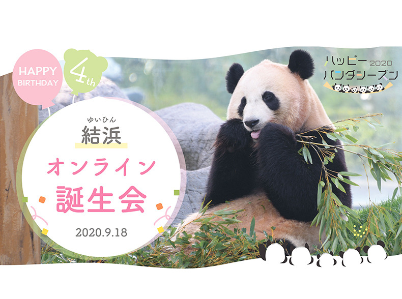 アドベンチャーワールド ジャイアントパンダ 結浜 4歳の誕生日を記念して2つのイベントを開催 9月18日 動物のリアルを伝えるwebメディア Reanimal