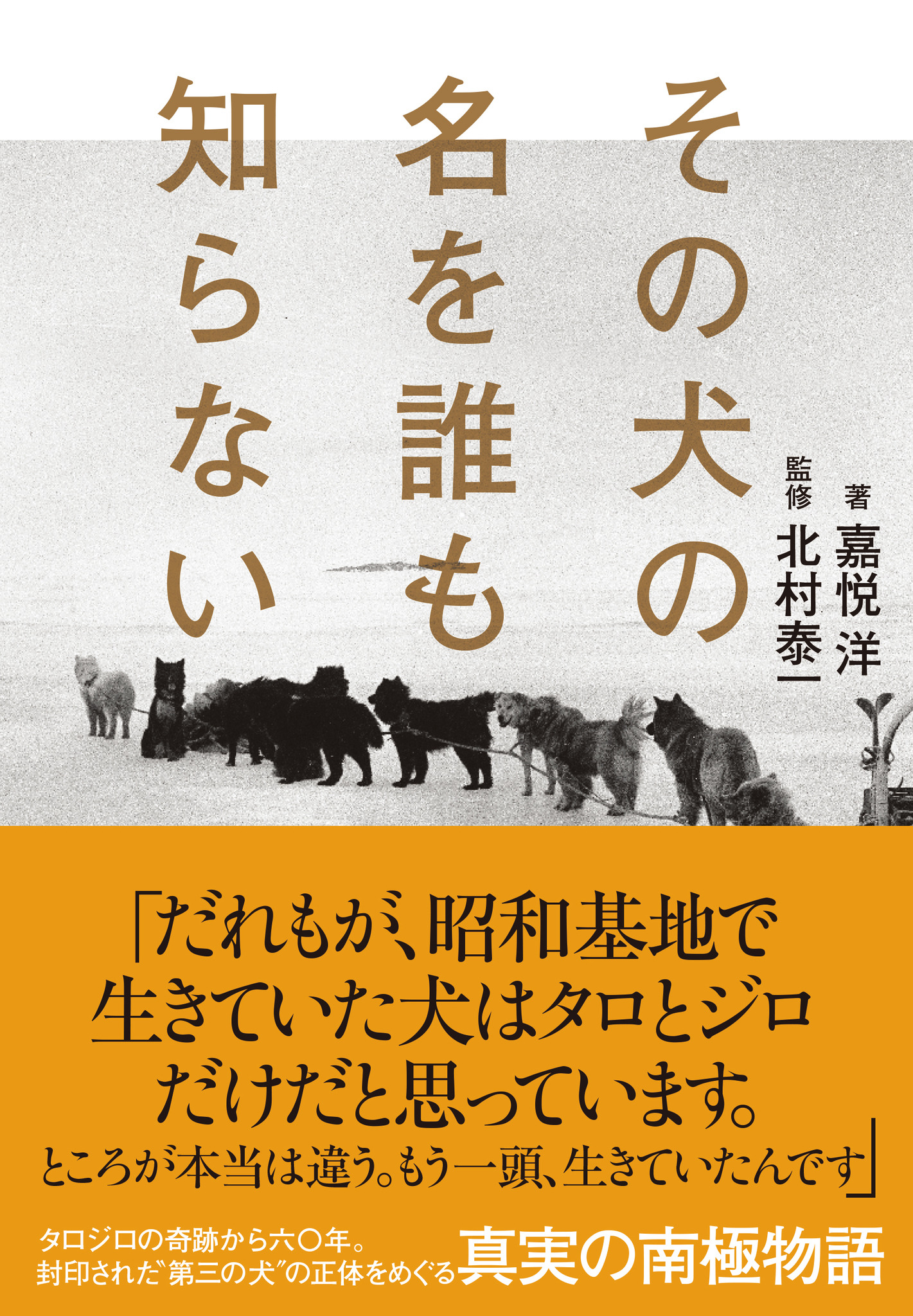 タロジロ奇跡の生還の謎を解き明かすノンフィクション書籍 その犬の名を誰も知らない 5刷重版決定 動物のリアルを伝えるwebメディア Reanimal