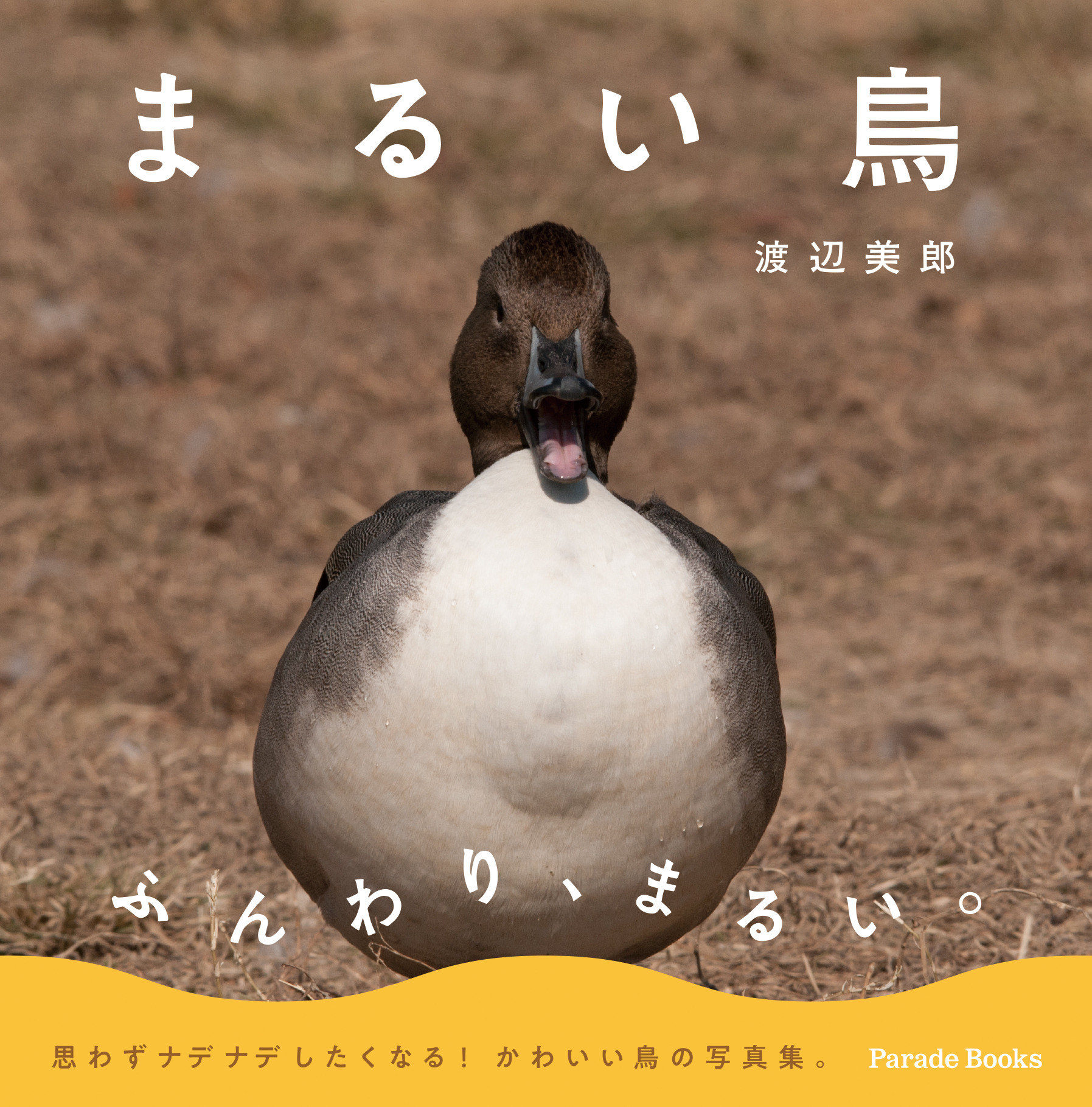 鳥の写真集 まるい鳥 を刊行 パレードブックス 動物のリアルを伝えるwebメディア Reanimal