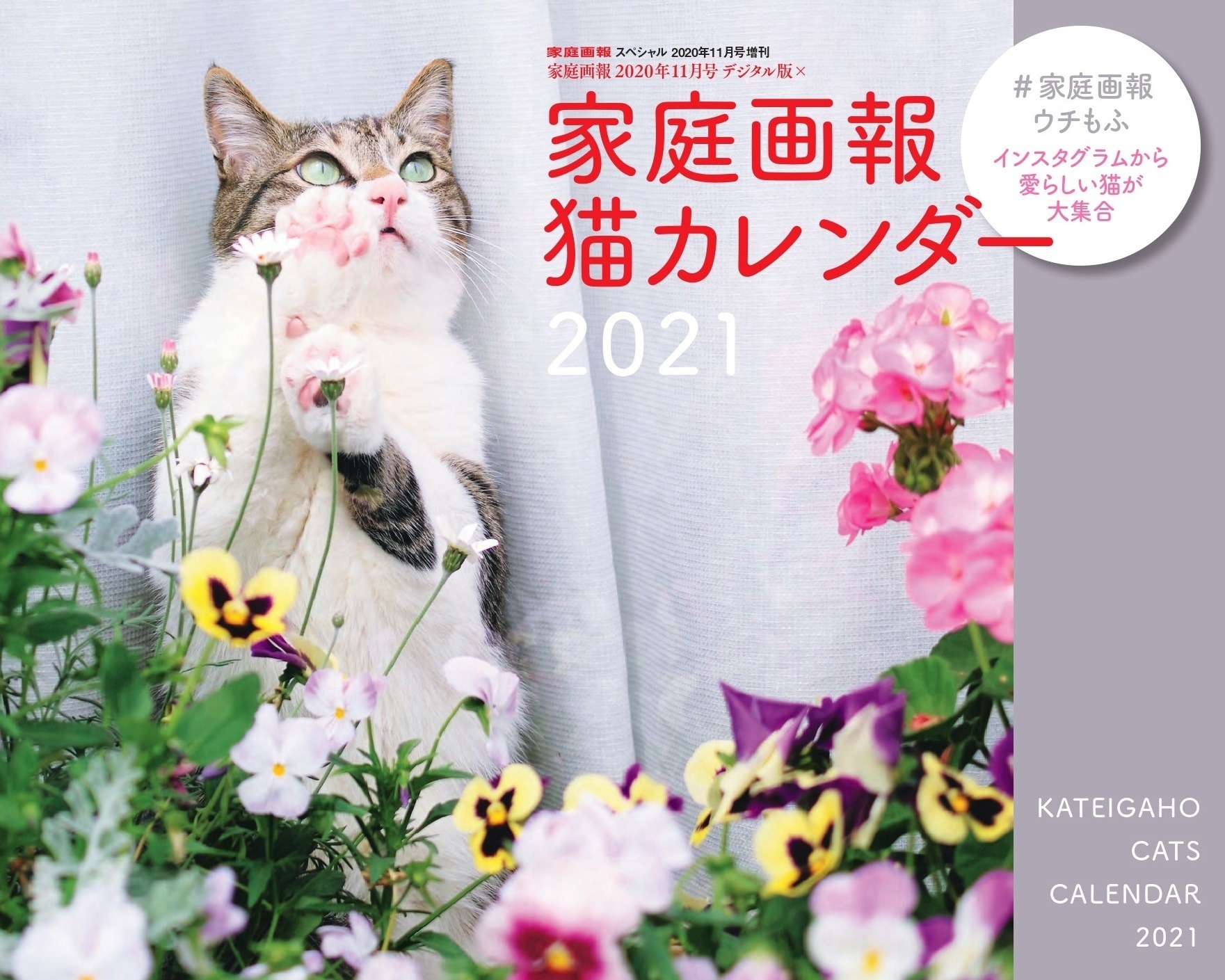 世界文化社 家庭画報 猫カレンダー21 を発売 動物のリアルを伝えるwebメディア Reanimal