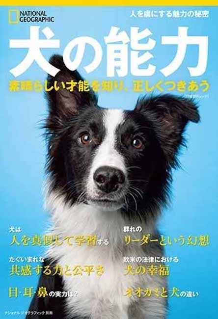 ナショナル ジオグラフィック ビジュアル書籍 犬の能力 素晴らしい才能を知り 正しくつきあう を刊行 動物のリアルを伝えるwebメディア Reanimal