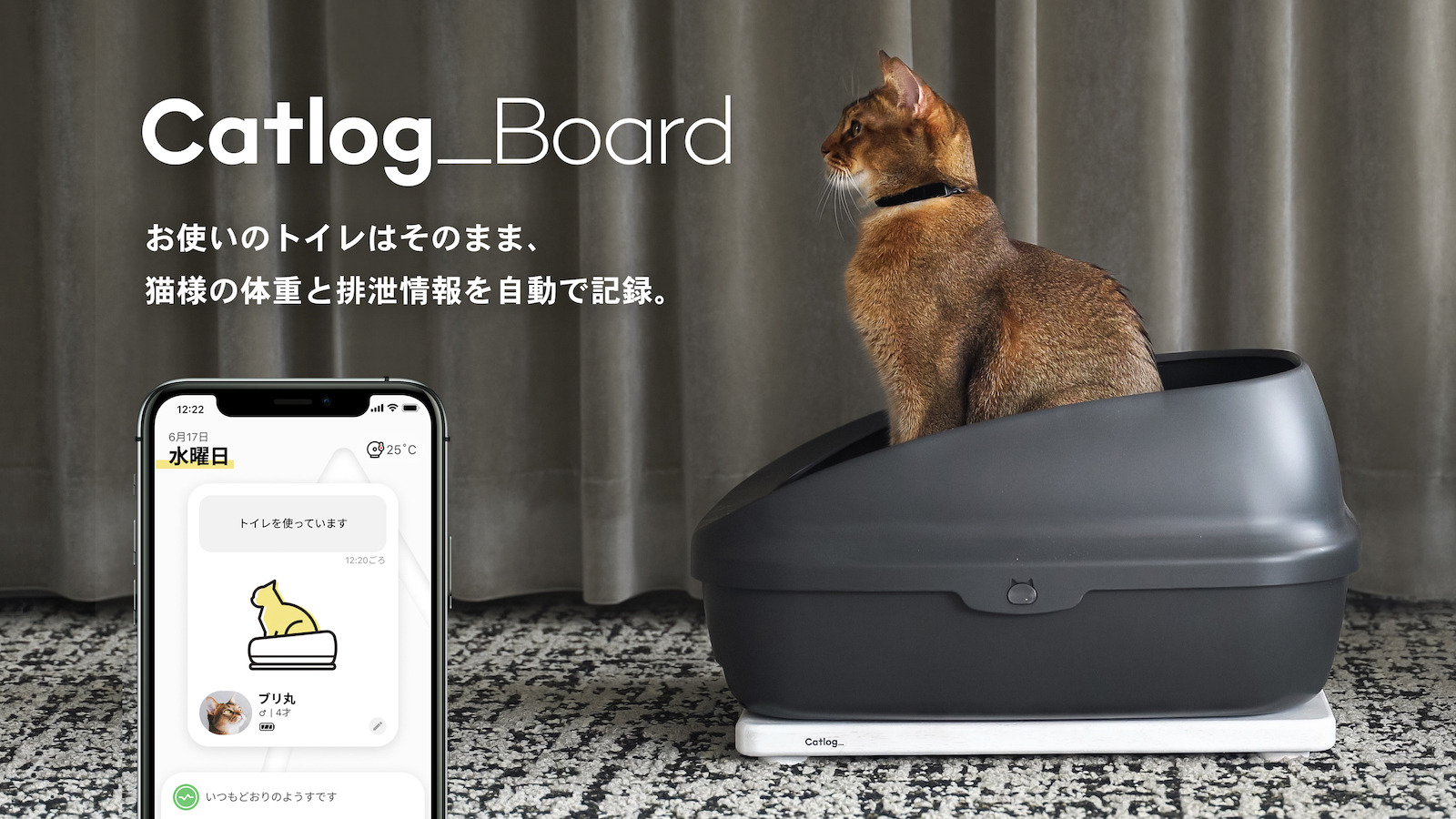 Rabo いつものトイレで猫の体重と尿量 回数を自動で記録する Catlog Board を発表 動物のリアルを伝えるwebメディア Reanimal