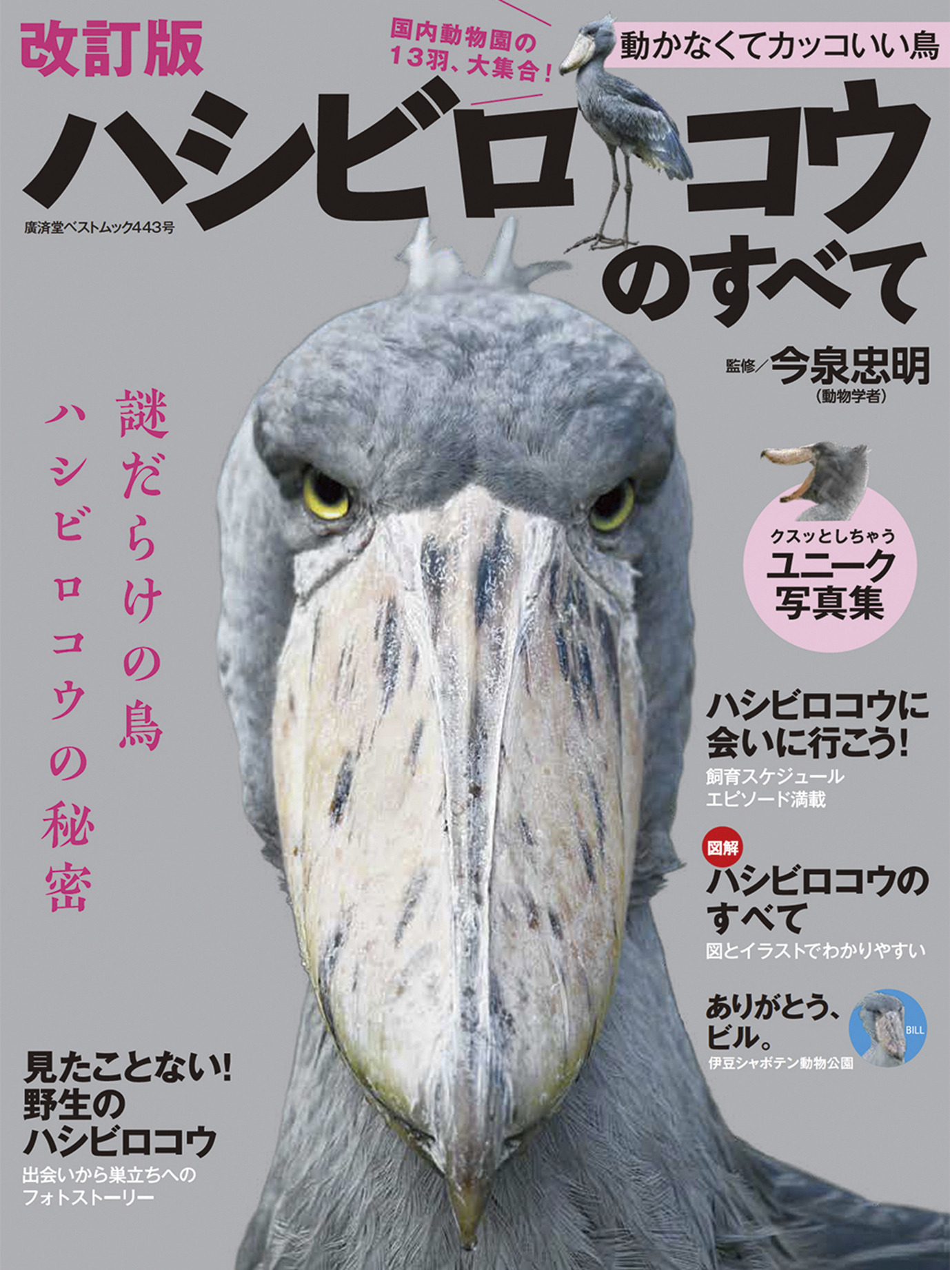 廣済堂出版 ハシビロコウのすべて 改訂版 と ハシビロコウカレンダー21 を刊行 動物のリアルを伝えるwebメディア Reanimal