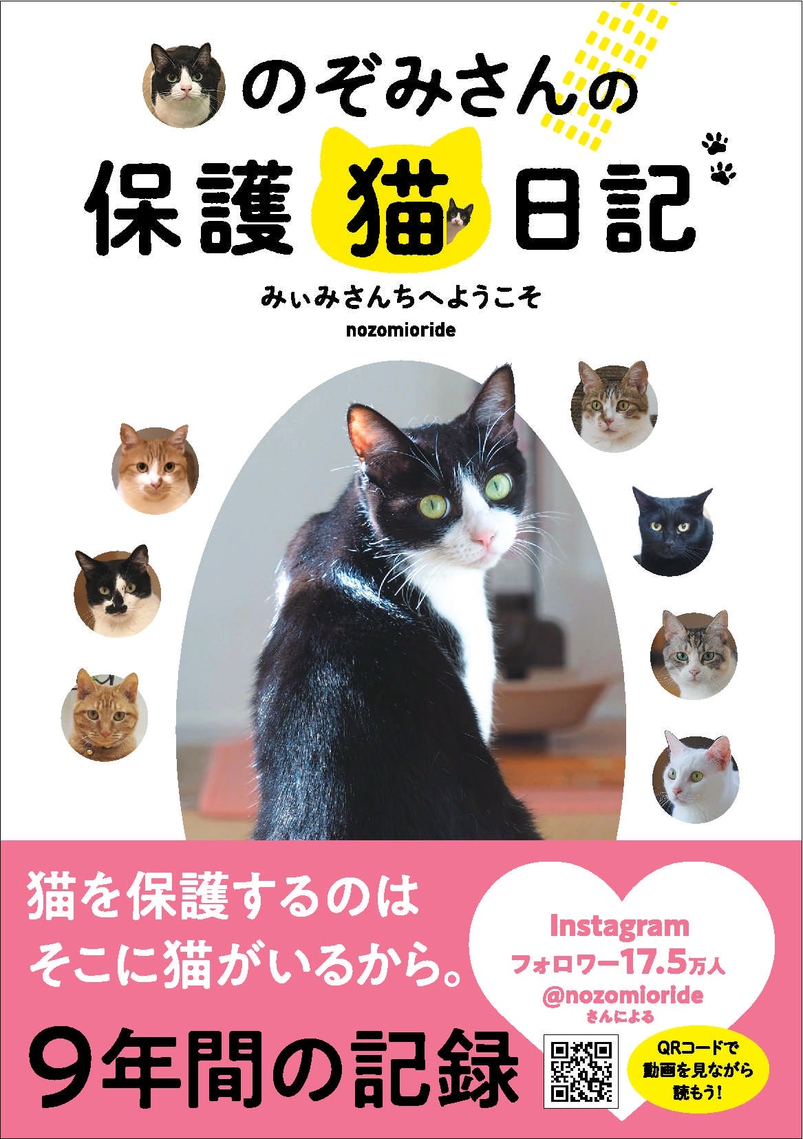 100匹以上の保護猫たちの物語 のぞみさんの保護猫日記 発売 ぴあ 動物のリアルを伝えるwebメディア Reanimal