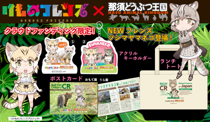 那須どうぶつ王国 クラウドファンディングに けものフレンズ コラボコースが新設 動物のリアルを伝えるwebメディア Reanimal