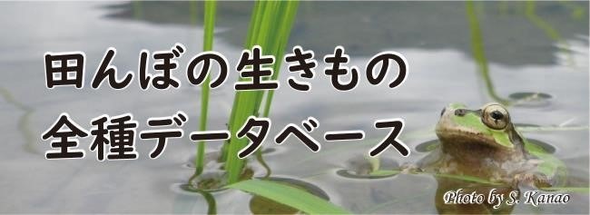 琵琶湖博物館 田んぼの生きもの全種データベース を公開 動物のリアルを伝えるwebメディア Reanimal