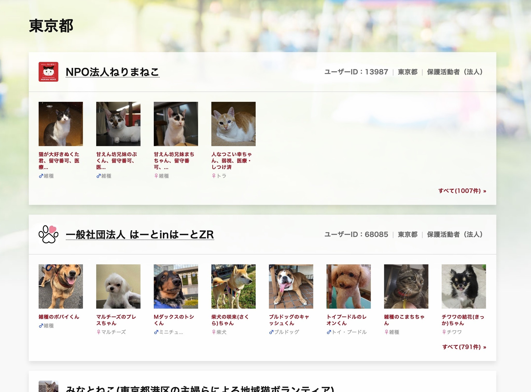 ペットのおうち オンライン譲渡会を開設 新型コロナ対策で相次ぐイベント中止受け 動物のリアルを伝えるwebメディア Reanimal ペットのおうち オンライン譲渡会を開設 新型コロナ対策で相次ぐイベント中止受け 動物のリアルを伝えるwebメディア Reanimal