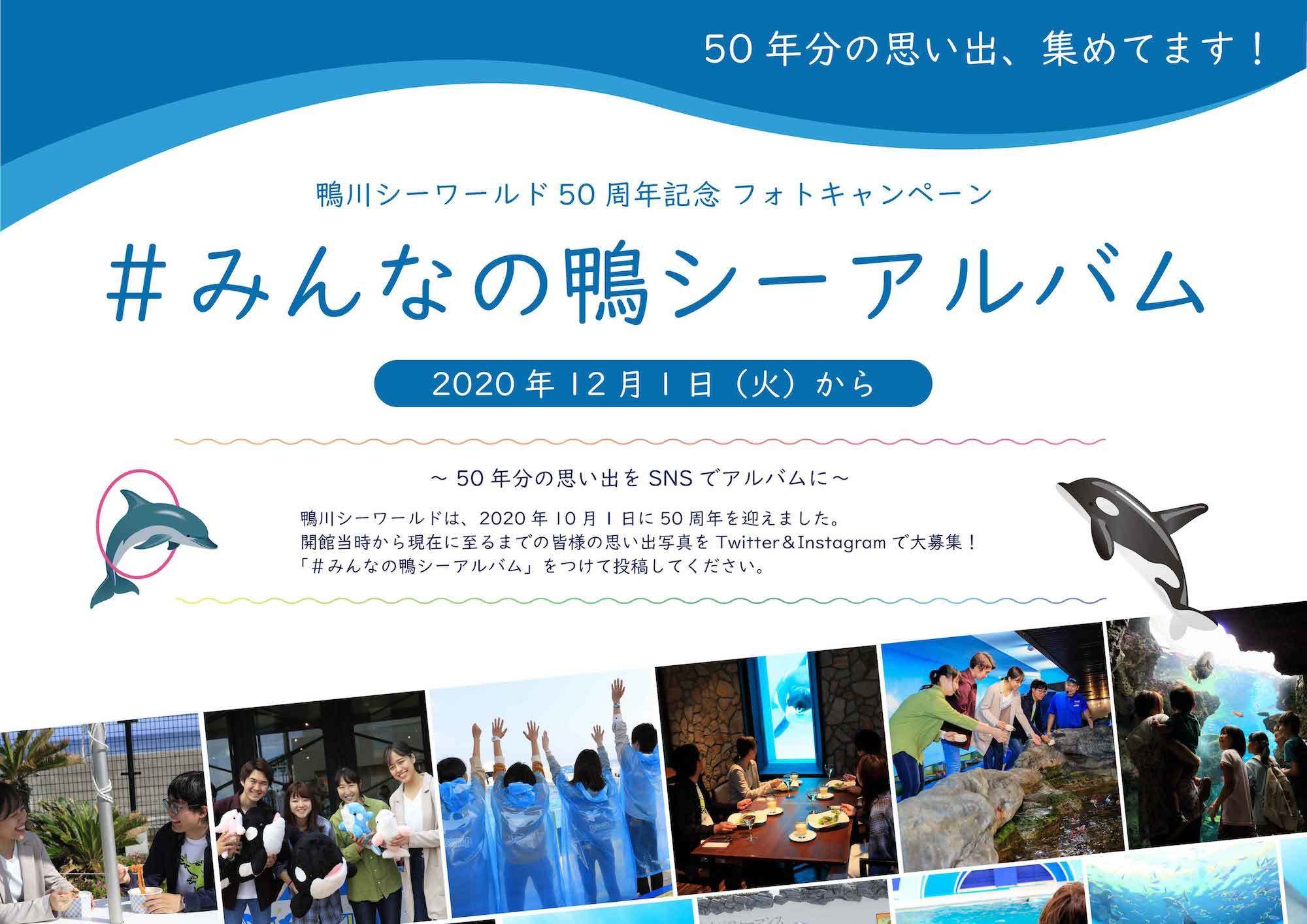 鴨川シーワールド 50年分の思い出写真をsnsで募集 みんなの鴨シーアルバム 動物のリアルを伝えるwebメディア Reanimal 鴨川シーワールド 50年分の思い出写真をsnsで募集 みんなの鴨シーアルバム 動物のリアルを伝えるwebメディア Reanimal