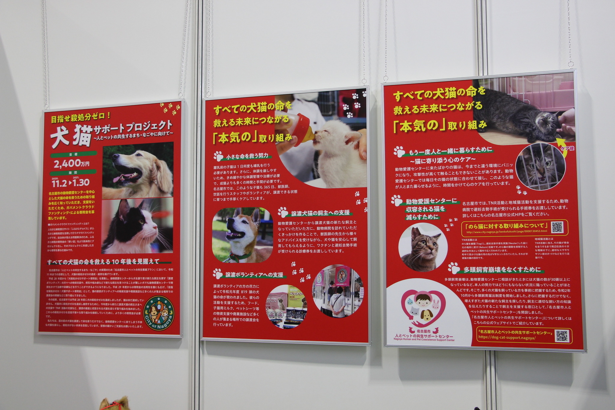 本当の殺処分ゼロに向けた 犬猫サポートプロジェクト 名古屋市健康福祉局 インターペット愛知 動物のリアルを伝えるwebメディア Reanimal