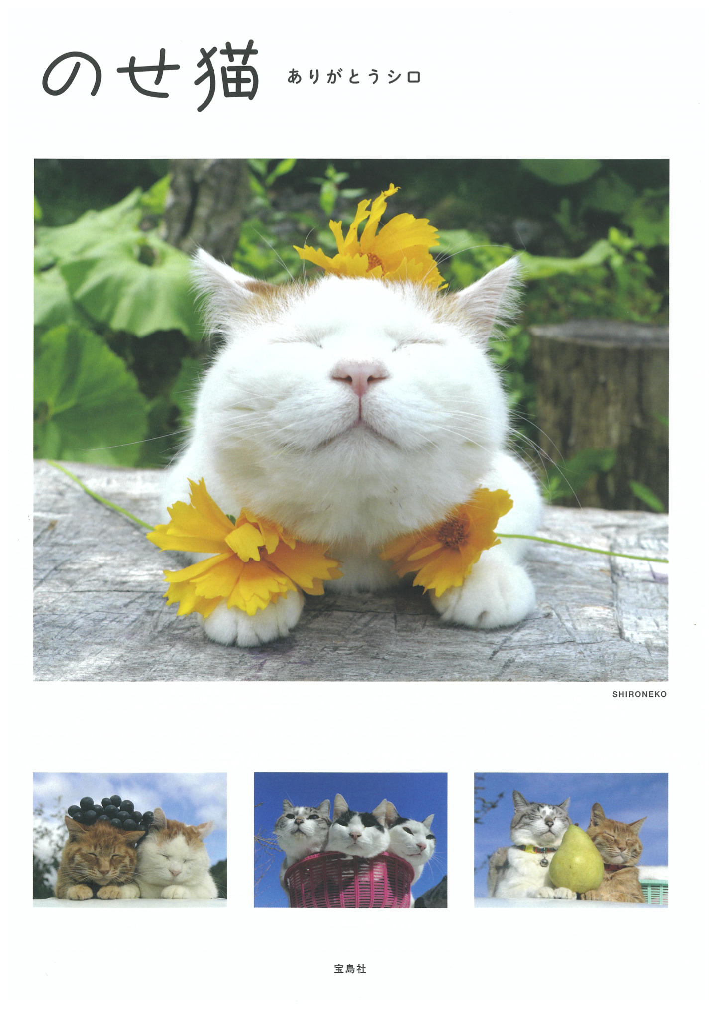 やさし かご猫シロと3匹の仲間たち のせ猫