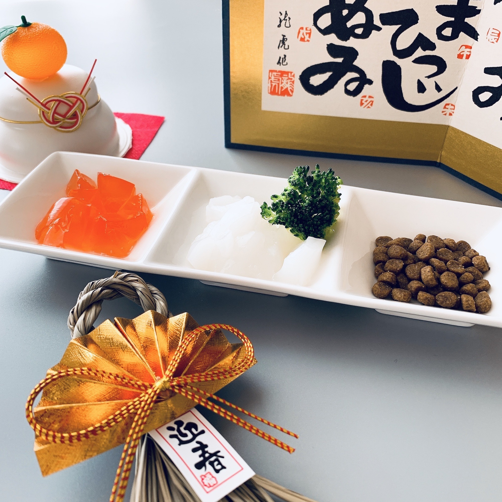 Wisham 犬猫の水分補給用 食べる水 ジュレッタの新フレーバー ミルクホワイト レッド を発売 動物のリアルを伝えるwebメディア Reanimal Wisham 犬猫の水分補給用 食べる水 ジュレッタの新フレーバー ミルクホワイト レッド を発売 動物のリアルを伝えるwebメディア Reanimal