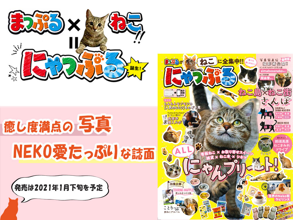 昭文社の まっぷる と猫がコラボ 猫本 にゃっぷる を21年1月下旬に刊行 動物のリアルを伝えるwebメディア Reanimal
