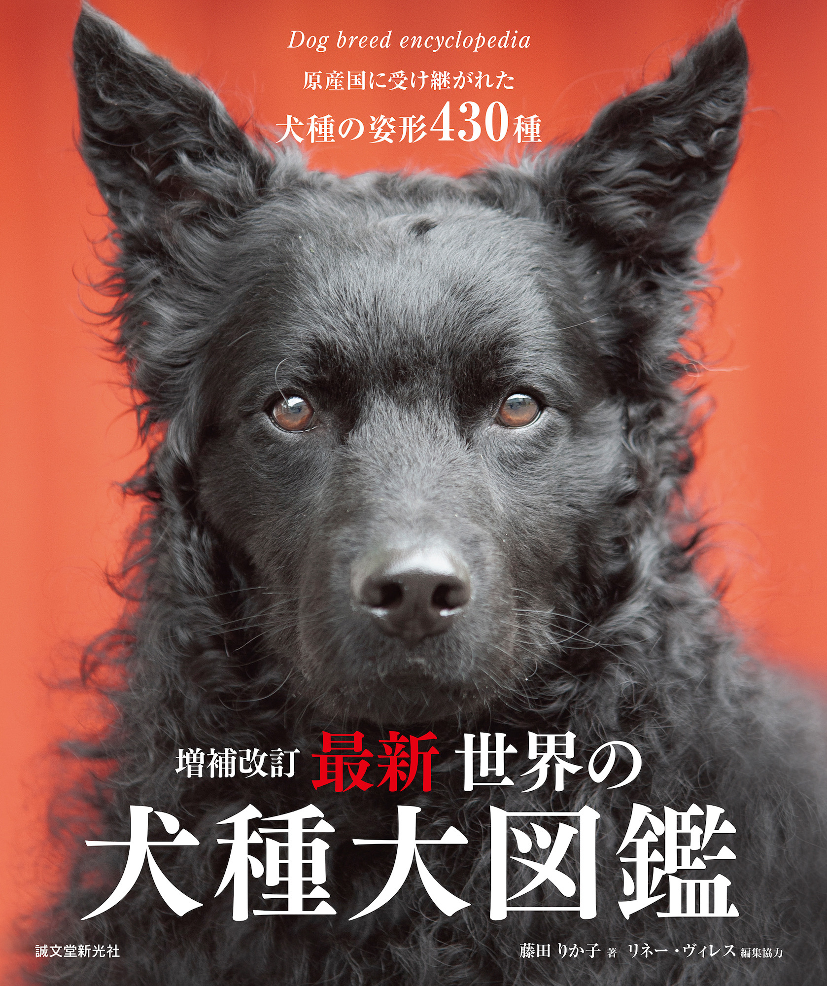 中古】 ニュートン 近代科学を築いた知の巨人/丸善出版/犬上博史