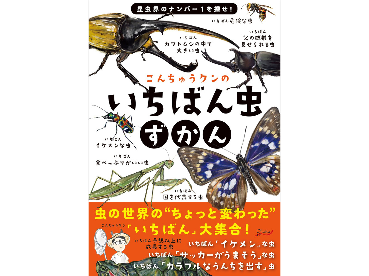 虫の世界のちょっと変わった いちばん を特集 こんちゅうクンのいちばん虫ずかん 刊行 動物のリアルを伝えるwebメディア Reanimal