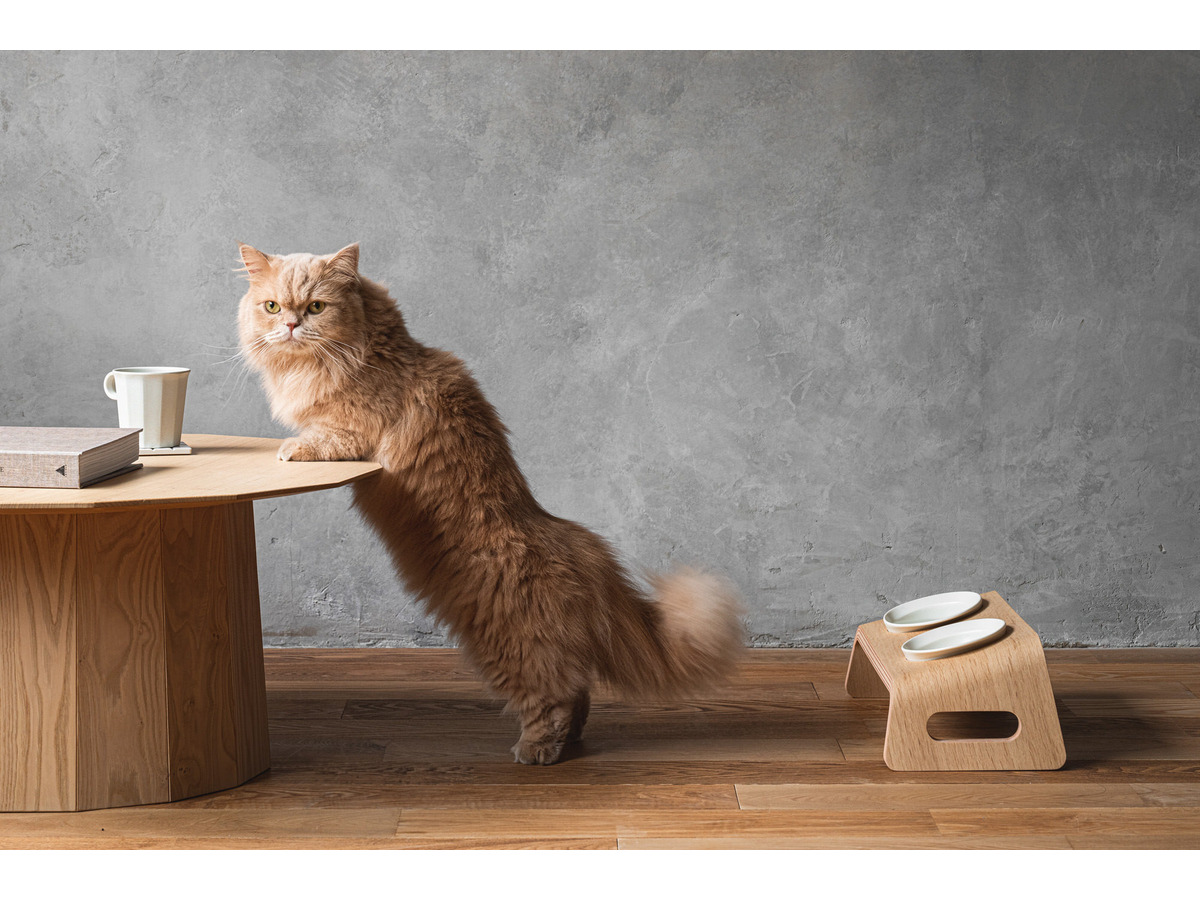 カリモク家具 猫用木製家具 Karimoku Cat Table の予約注文を開始 動物のリアルを伝えるwebメディア Reanimal
