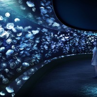 すみだ水族館 夜の水族館を楽しめる 夏の夜すい を開催 7月22日 8月29日 動物のリアルを伝えるwebメディア Reanimal