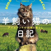 ナショナル ジオグラフィック プロの撮り方 完全マスター ベーシック を刊行 6月29日 動物のリアルを伝えるwebメディア Reanimal
