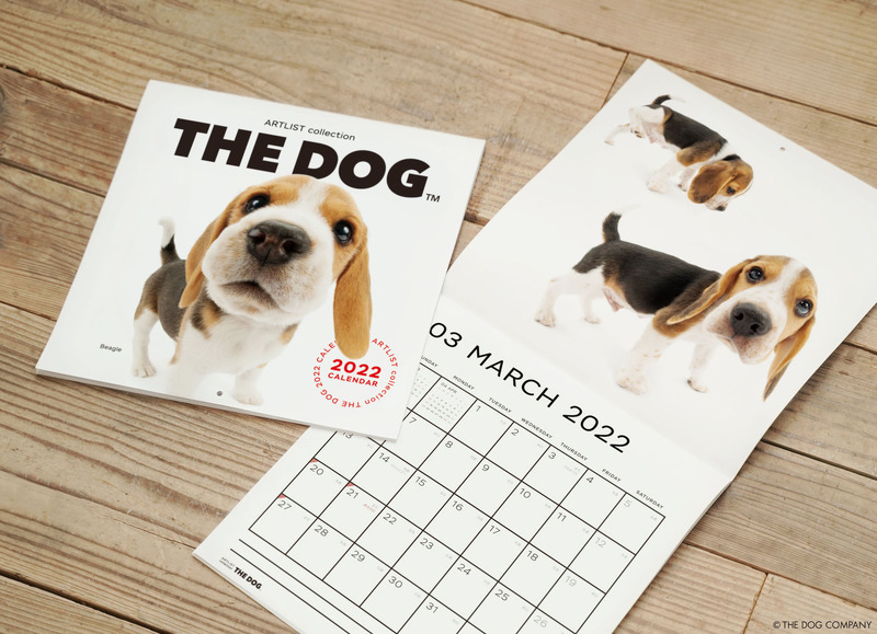 「THE DOG」2022年犬種別カレンダー予約受付開始