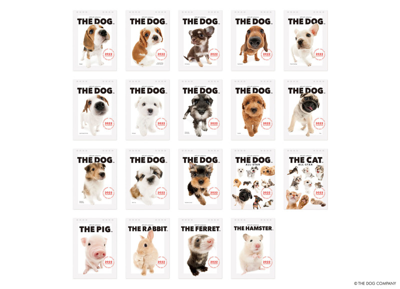 「THE DOG」2022年犬種別カレンダー予約受付開始