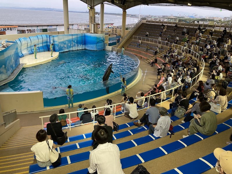 「JAFフェスティバル関東 in 新江ノ島水族館」開催（画像はイメージ）