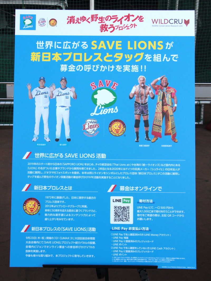 SAVE LIONSプロジェクトの紹介