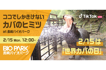 長崎バイオパーク ココでしかきけないカバのヒミツ をtiktok Liveで生配信 2月15日 動物のリアルを伝えるwebメディア Reanimal