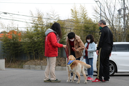 日本介助犬協会 オンラインでの入所式を初開催 9頭が訓練センターに 動物のリアルを伝えるwebメディア Reanimal